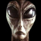 Alien 1